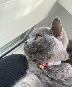 Alaska