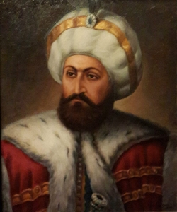Ziya izgi